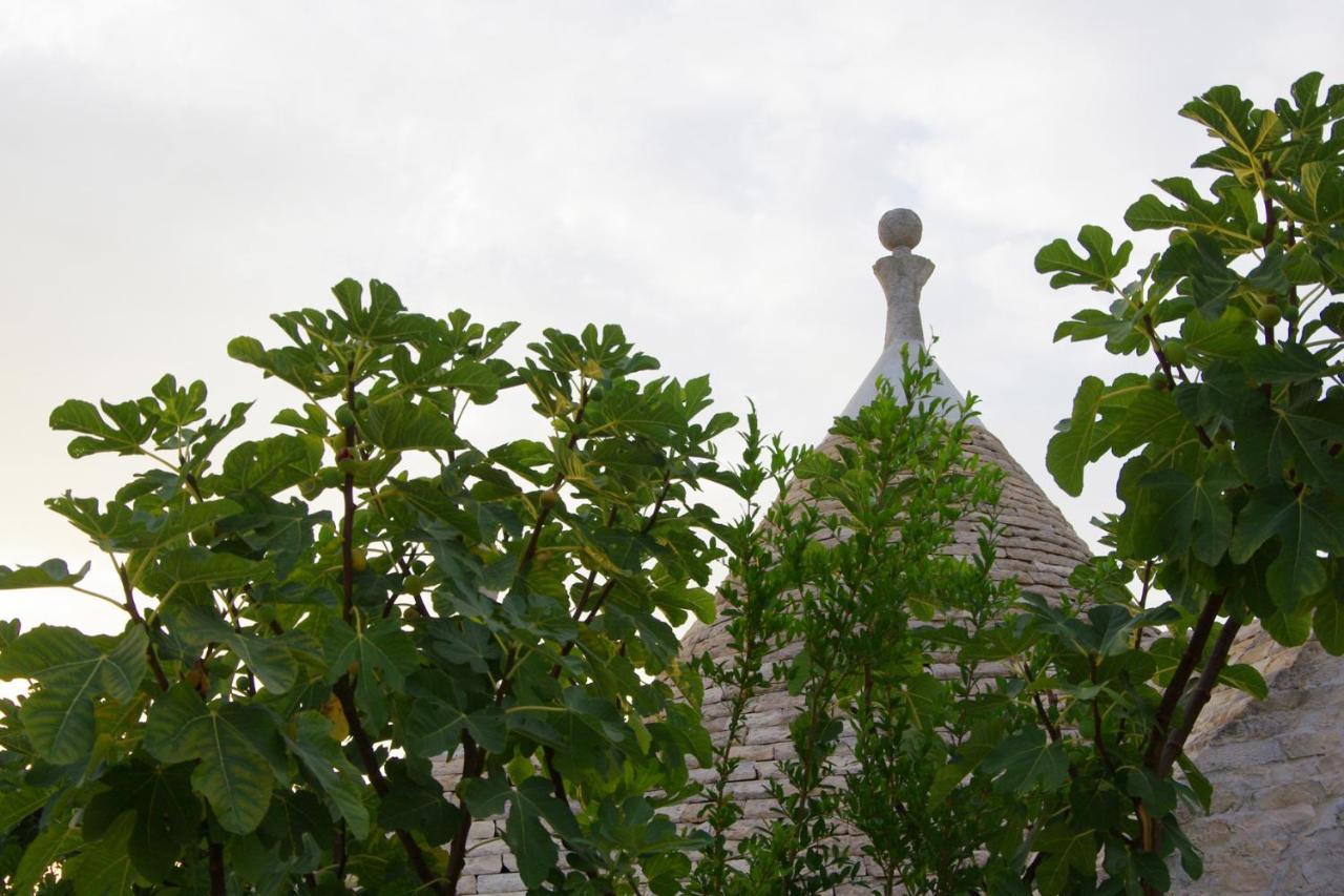 Masseria Sciaiani Piccola Villa Castelli Exterior photo